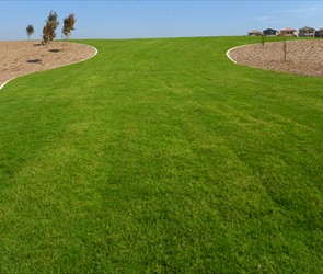 All Seasons Park